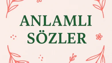 ANLAMLI SÖZLER