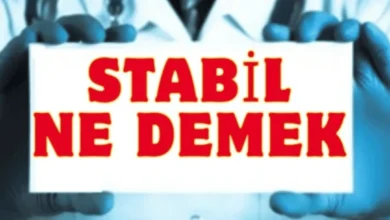 Stabil Ne Demek