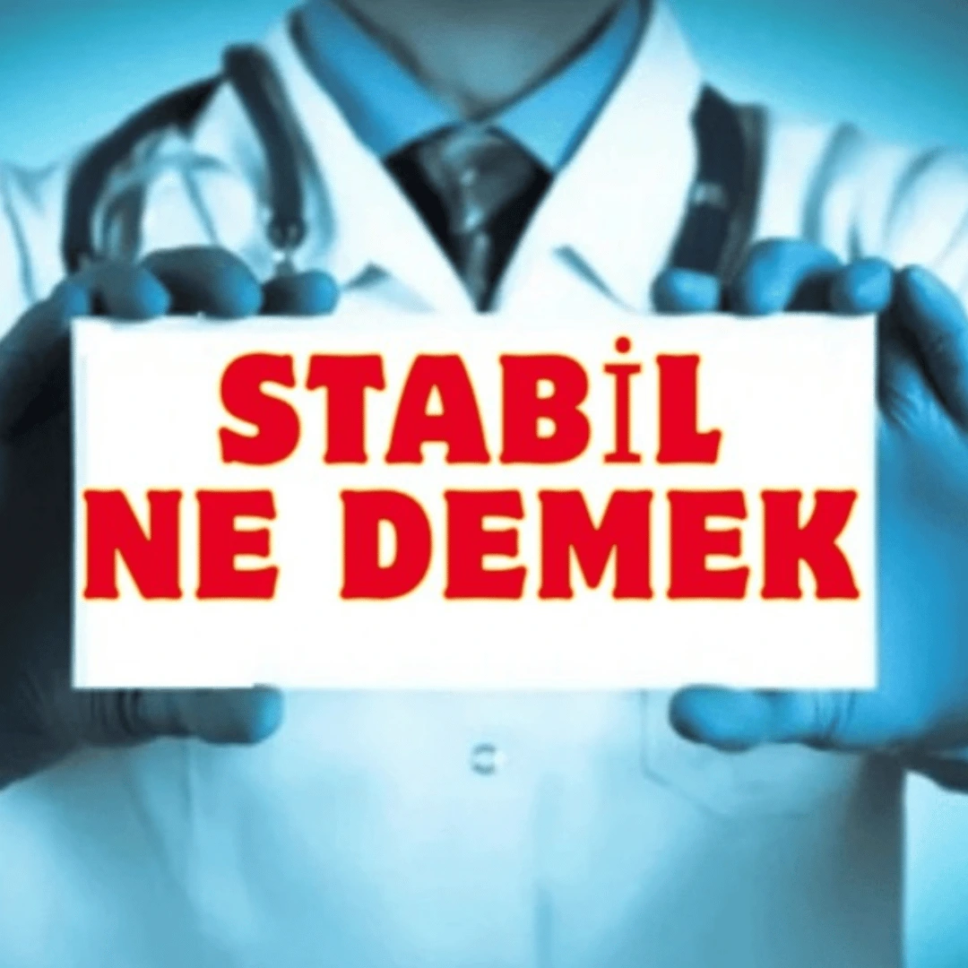 Stabil Ne Demek